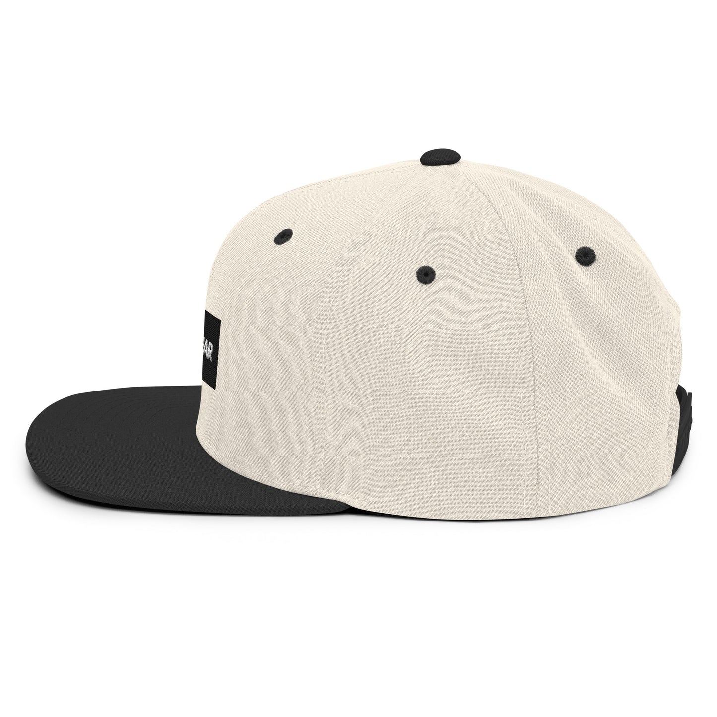 DropGear Snapback Hat