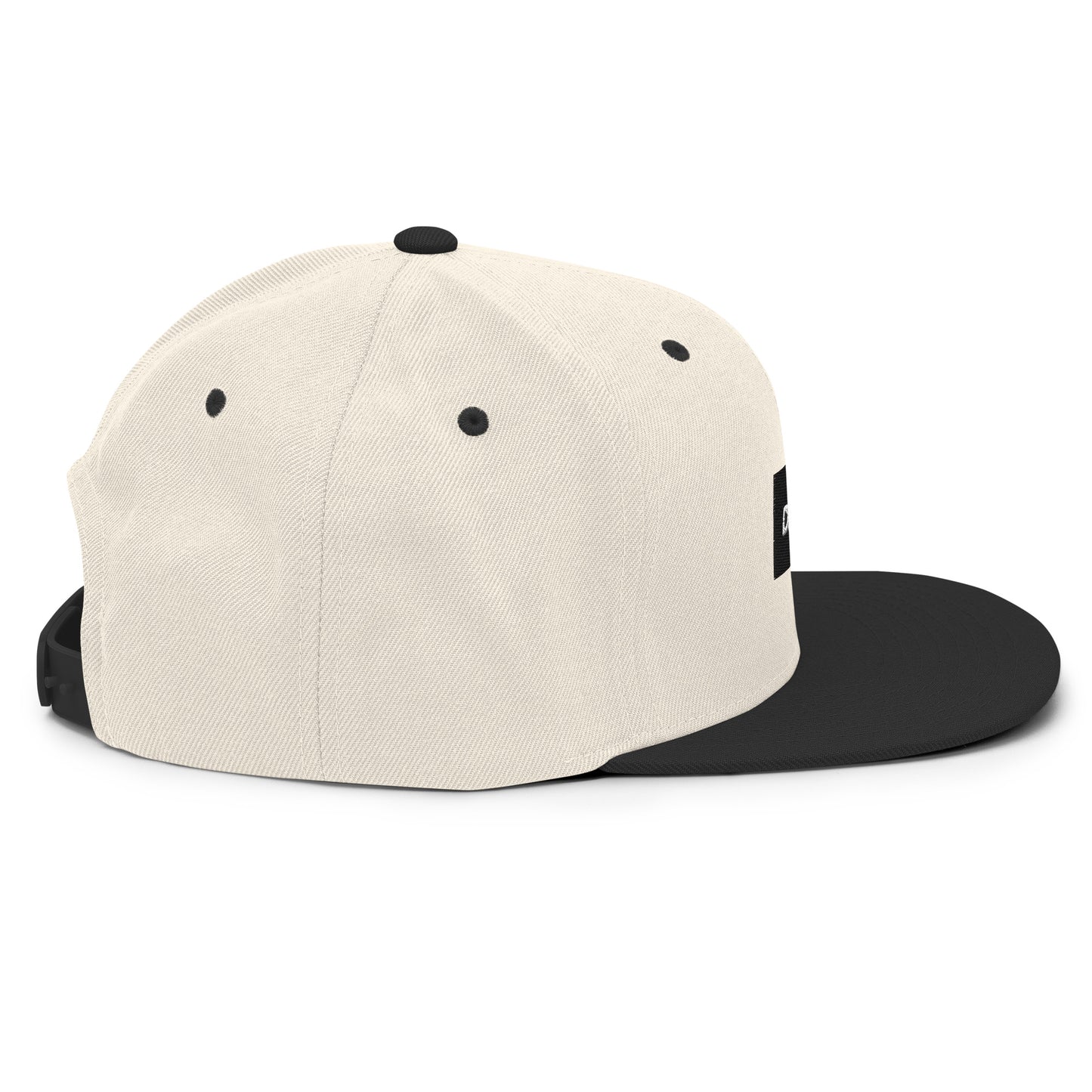 DropGear Snapback Hat